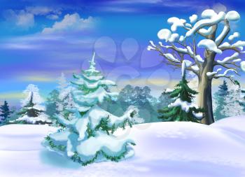 Snow Covered Spruce  in a Winter Forest Clearing. Handmade illustration in a classic cartoon style.