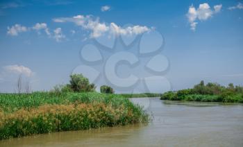 Danube River near the village of Vilkovo, Ukraine, on a sunny summer day