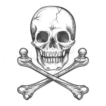 Skull and crossbones for tattoo or biker jacket vector illustration