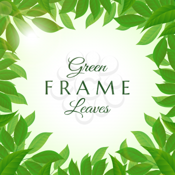 Fresh and lush green leaves frame vector illustration