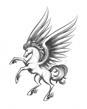 Winged horse engraving vector illustration. Hand drawn pegasus or flying mustang mascot sketch isolated on white background for tattoo