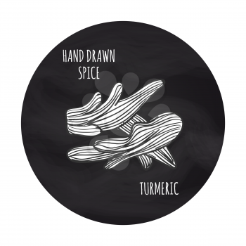 Hand drawn spice vector illustration. Black and white turmeric icon on blakboard backdrop