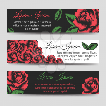 Red rose flowers horizontal banners template, vector illustration