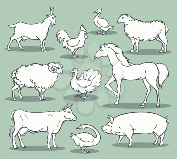 Farm animals sketch. Livestock doodle set vector illustration like turkey and horse, sheep and chicken, goat and sheep