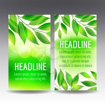 Vector flyer templates with green leaves and light
