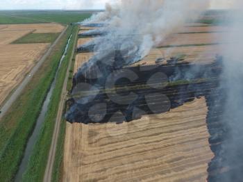 Burning straw in the fields of wheat after harvesting. The pollution of the atmosphere with smoke.