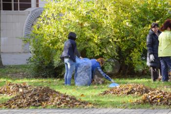 Slavyansk-na-Kubani, Russia - September 9, 2016: The workers of the municipality collect leaves in the park. Women social workers removed the foliage.
