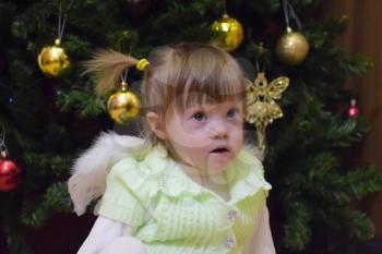 One year old baby girl sitting on the background of the Christmas tree. A child with gray eyes and blond hair.