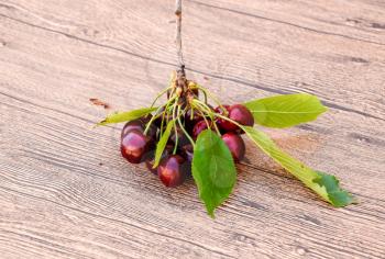Berries of sweet cherry with a twig and leaves. Ripe red sweet cherry.