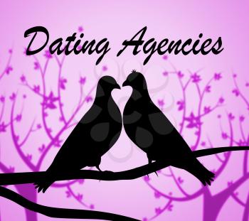 Dating Agencies Showing Companies Date And Business