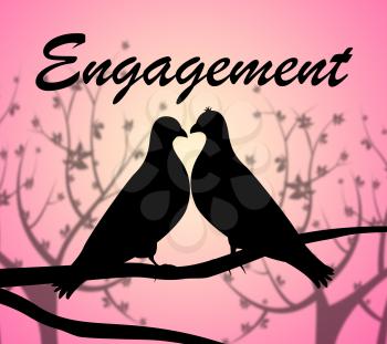 Engagement Doves Representing Love Birds And Relationships
