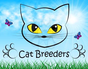 Cat Breeders Meaning Mate Feline And Mating