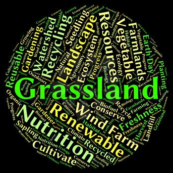 Grassland Word Showing Text Pastures And Words