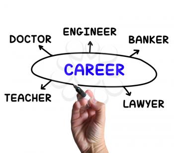 Career Diagram Meaning Profession And Field Of Work