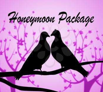 Honeymoon Package Representing All Inclusive And Travel