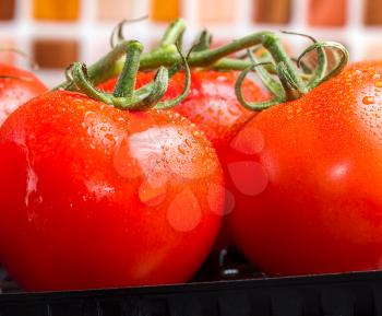 Bunch of red juicy tomatoes with water droplets in kitchen