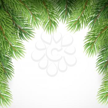 Green spruce branches like Christmas frame. Vector illustration EPS10
