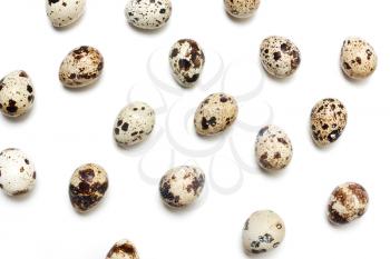 Background of quail eggs in a row on a white backdrop. Top view, flat