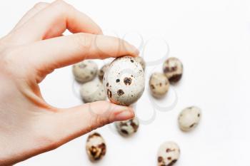 A female hand holds a quail egg in hands on a white background