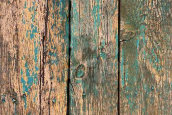 Background of old green boards, with shabby paint, with nails