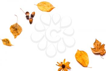 Background creative of yellow dry leaves, acorn, walnut, flowers. concept of autumn.  Top view, flat