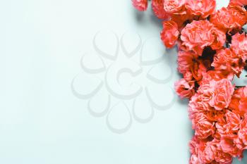 Composition of coral, pink flowers on blue background. Natural festive letterhead