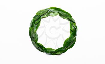 Green leaves in a round frame on a white background. Minimalistic, eco, eco-friendly, creative concept. View from above