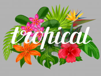 Background with stylized tropical plants, leaves and flowers. Image for advertising booklets, banners, flayers, cards, textile printing.
