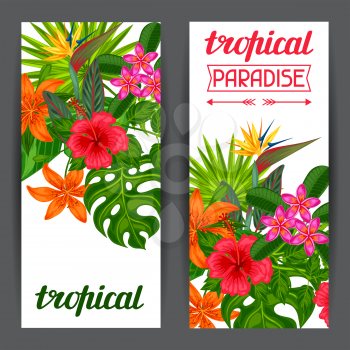 Banners with stylized tropical plants, leaves and flowers. Image for advertising booklets, banners, flayers, cards.