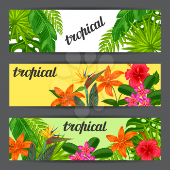 Banners with stylized tropical plants, leaves and flowers. Image for advertising booklets, banners, flayers, cards.