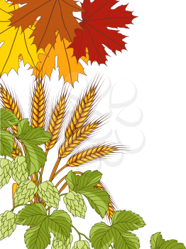 Illustration of leaves wheat hops. Vector bacground.