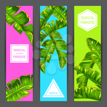 Banners with banana palm leaves. Decorative tropical foliage.