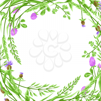 Frame with herbs and cereal grass. Floral design of meadow plants.