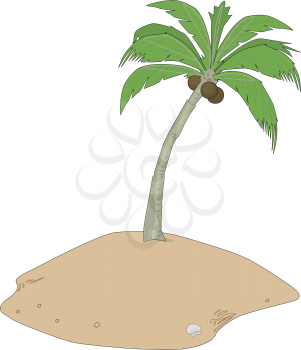 Fronds Clipart