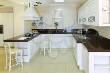 Modern white kitchen. Indoor design.