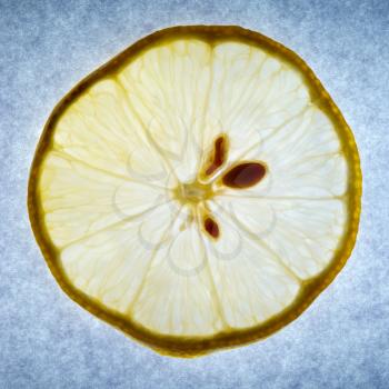 Lemon in light. Element of design.
