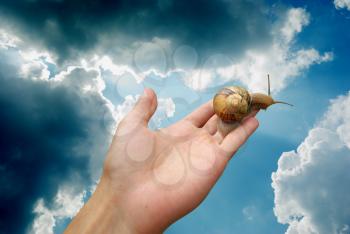 Snail on hand and deep sky. Conceptual design. 