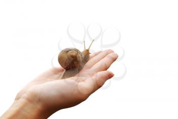 Snail on hand and sky. Concept design.
