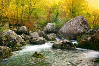 Deep autumn. River and rocks. Nature  composition.