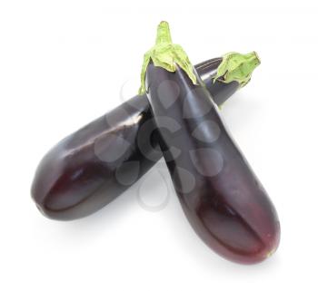 Two isolated eggplant. Element of design.