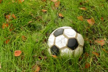 Old soccer ball in autumn grass. Element of design.