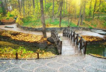 Autumn landscape. Bridge in park. Composition of nature.