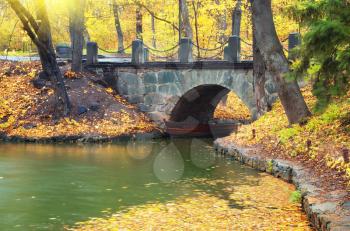Autumn landscape. Bridge in park. Composition of nature.