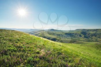 Hills and green wheat meadow in mountain. Spring nature composition.