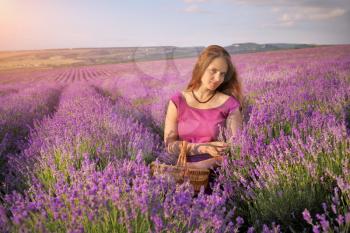 Cute girl collect lavender on meadow at sunset. Nature and pepople scene.