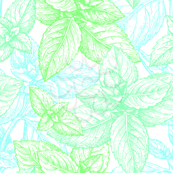 Mint seamless pattern. Summer background. Hand drawn vector illustration.