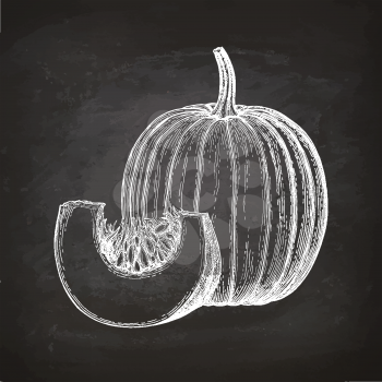 Chalk sketch of pumpkin on blackboard background. Hand drawn vector illustration. Retro style.