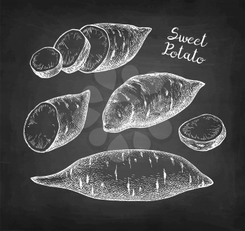 Sweet potato. Chalk sketch of yam on blackboard background. Hand drawn vector illustration. Retro style.
