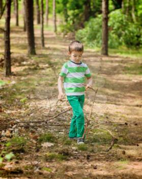 Cute little boy is playing in the wood