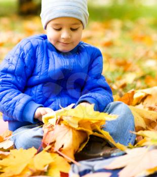 Cute little boy in autumn park holding bunch of yellow leaves